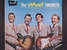 CRICKETS: the chirping crickets BRUNSWICK 12