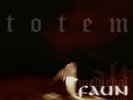 FAUN / TOTEM - LP