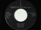 Modern Soul Boogie 45 - Wylie - Fan-Tasy - Kam Executive VG+