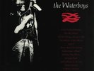 The Waterboys The Best Of The Waterboys 81 - 90 Ensign Vinyl LP