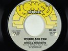 Modern Soul Funk 45 - Eryke & Arronette - Where Are You - Honey