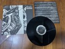 ASSUCK-anticapital ORIGINAL 1991 LP SOUND POLLUTION RECORDS LP death grind spazz