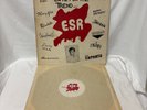 ESR Compilation “Are We Too Late For The Trend…” LP (1979)