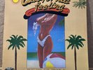 The Beach Boys / California Feeling Rare Lp BROTHER Records / MINT