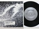 KINGS OF LEON: Use Somebody  (Vinyl 7
