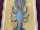 The B-52's Rock Lobster 3 7