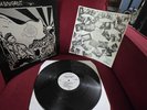 Youth Brigade - Sound And Fury