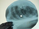 BLACK SABBATH BEHIND THE WALL X-Ray USSR Record Roentgen Bone Ribs Music Vinyl