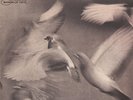 Donald Byrd - Free Form FRANCE DMM LP 1985 (VG-) VInyl ´