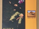Puzzle - Laying In The Sand LP Yellow Vinyl The Garden Vada Vada Fletcher Shears