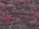 Sleep Token - Even In Arcadia [VINYL]