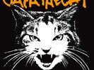 LP Jaya The Cat Basement Style WHITE VINYL NEAR MINT Ring Of Fire Records