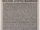 Siouxsie And The Banshees* - The Peel Sessions (12