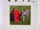 RUSH / SIGNALS US PRESSING LP W/INNER