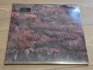 Sleep Token Even In Arcadia Glass Of Port Vinyl Record Revolver Excl In Hand