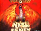 Tenacious D - Rize Of The Fenix (Vinyl 2LP - 2012 - EU - Original)