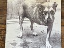 Alice In Chains Self Titled Vinyl First Press 1995 Tri Pod Columbia