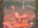 CANNIBAL CORPSE “SPAWN OF MAGGOTS”  LIVE VINYL RECORD