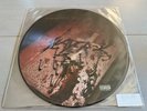 SLAYER - GOD HATES US ALL  LIM. 1.PRESS PICTURE DISC 2008     METALLICA,DEATH