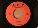 The Illusions I Know/Take My Heart RARE  FL Garage, Psych 1966 A.C.P.