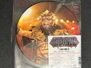 GWAR ‎Black Friday Limited Edition Exclusive Picture Disc 2016 7