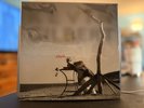 Kevin Gilbert – Thud (2LP) 2015 OOP Remaster MINT – Only 1000 Made - PROG GRAIL