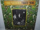 The Leaves, HEY JOE, LP record album, Mira LP 3005, RARE garage rock, READ NOTE