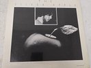 Peter Fish - The Silver Apple 1975 Original Ellips0id Rec0rds - Jazz - SEALED