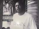 Damn. collector’s edition vinyl by Kendrick Lamar