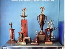 Jimmy Eat World - Bleed American