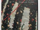 SAXF 239 ⸺ CICCOLINI ⸺ SCARLATTI sonatas ⸺ COLUMBIA orig stereo LP NM