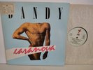 DANDY - 