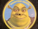 Shrek 2 Vinyl / Counting Crows - Accidentally In Love 7” Picture Disc Excellent