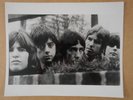 MISUNDERSTOOD press photo 10