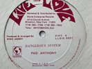 PAD ANTHONY Dangerous System LIVE & LOVE Killer  Digi Reggae 12