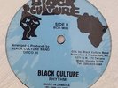BLACK CULTURE Wicked Babylonians BLAKC CULTURE Murder  Digi Roots Reggae 12