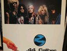 GUNS N' ROSES .44 CALIBER HORTICULTURE 2 LP Vinyl Set Club 51 Records