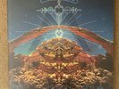 CHRIS ROBINSON BROTHERHOOD Big Moon Ritual 2 LP Silver Arrow  NM