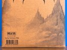 King Gizzard & The Lizard Wizard - Omnium Gatherum - (Lucky Rainbow Wax)