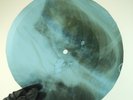 BOB DYLAN WITH GOD ON OUR SIDE  X-Ray USSR Record Roentgen Bone Ribs Music Vinyl