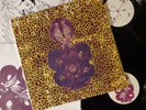 Bardo Pond Amanita 1996 2 LP Vinyl Records Matador Psychedelic Rock Shoegaze