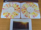 Saves the Day Stay what you are vinyl Lp record
