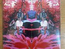 Blue Mountain Eagle S/T 1970 1st press Atco Country Psych NM-/VG++
