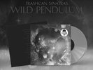 Wild Pendulum (RSD 2024) - Trashcan Sinatras (Vinyl)