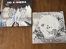 Radiohead Vinyl Bundle: Kid a Mnesia & A Moon Shaped Pool