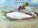 Moby Grape Great Grape NEAR MINT CBS Vinyl LP