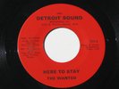 WANTED Here To Stay/Teen World 7” 45 1966 Detroit Sound 222, garage rock - Clean