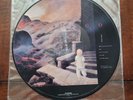 Oingo Boingo Dark At The End Of The Tunnel Picture Promo Lp