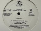 Prodigy – The Fat Of The Land - Original US 1997 PROMO Electronic 2 LP EX+
