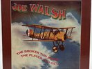 JOE WALSH 